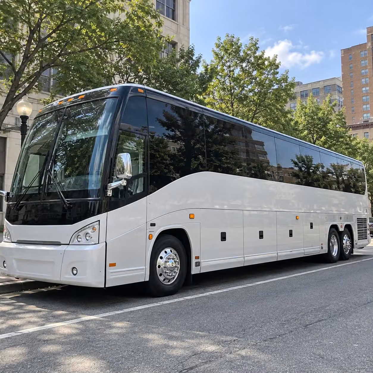 compare prom bus sizes and find the right fit for your carson group